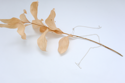 Driftwood Pendant Necklace
